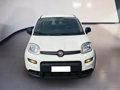 Fiat Panda 1.0 firefly hybrid s&amp;s 70cv 5p.ti del 2023 usata a Torino