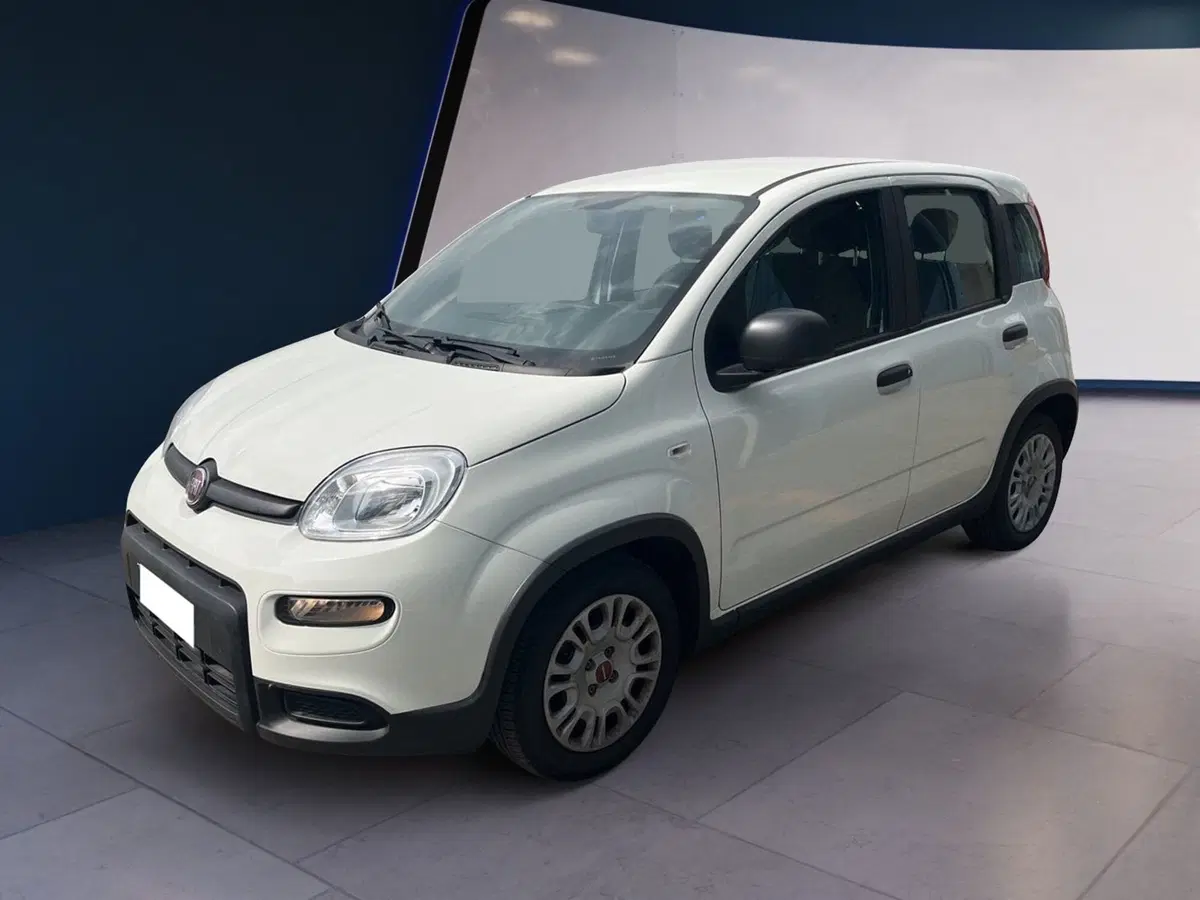 Fiat Panda usata a Torino (2)