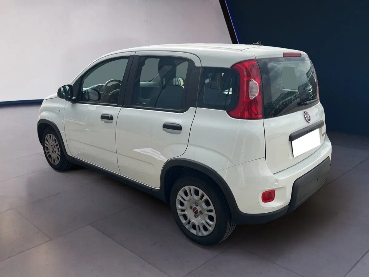 Fiat Panda usata a Torino (3)