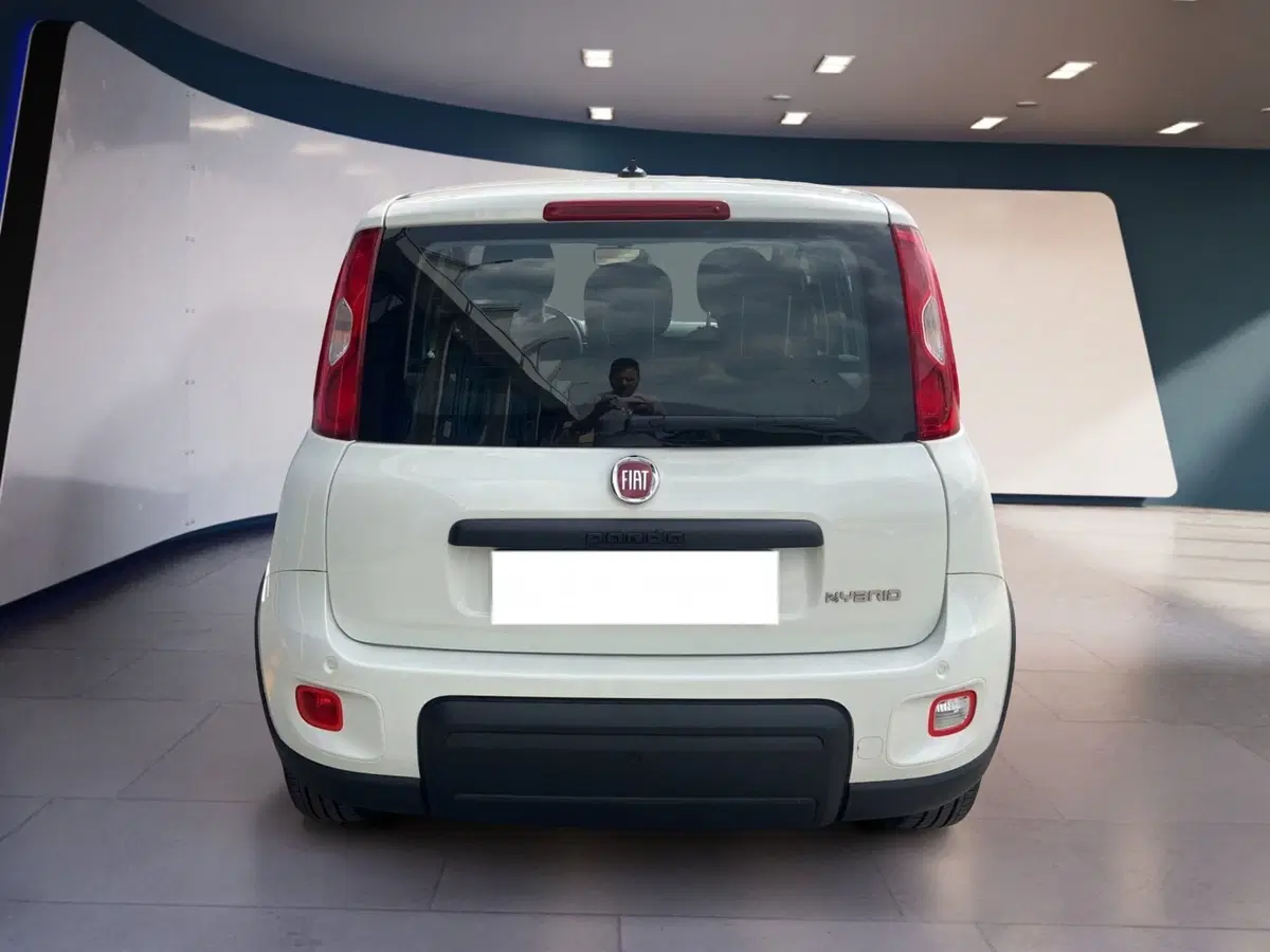 Fiat Panda usata a Torino (4)