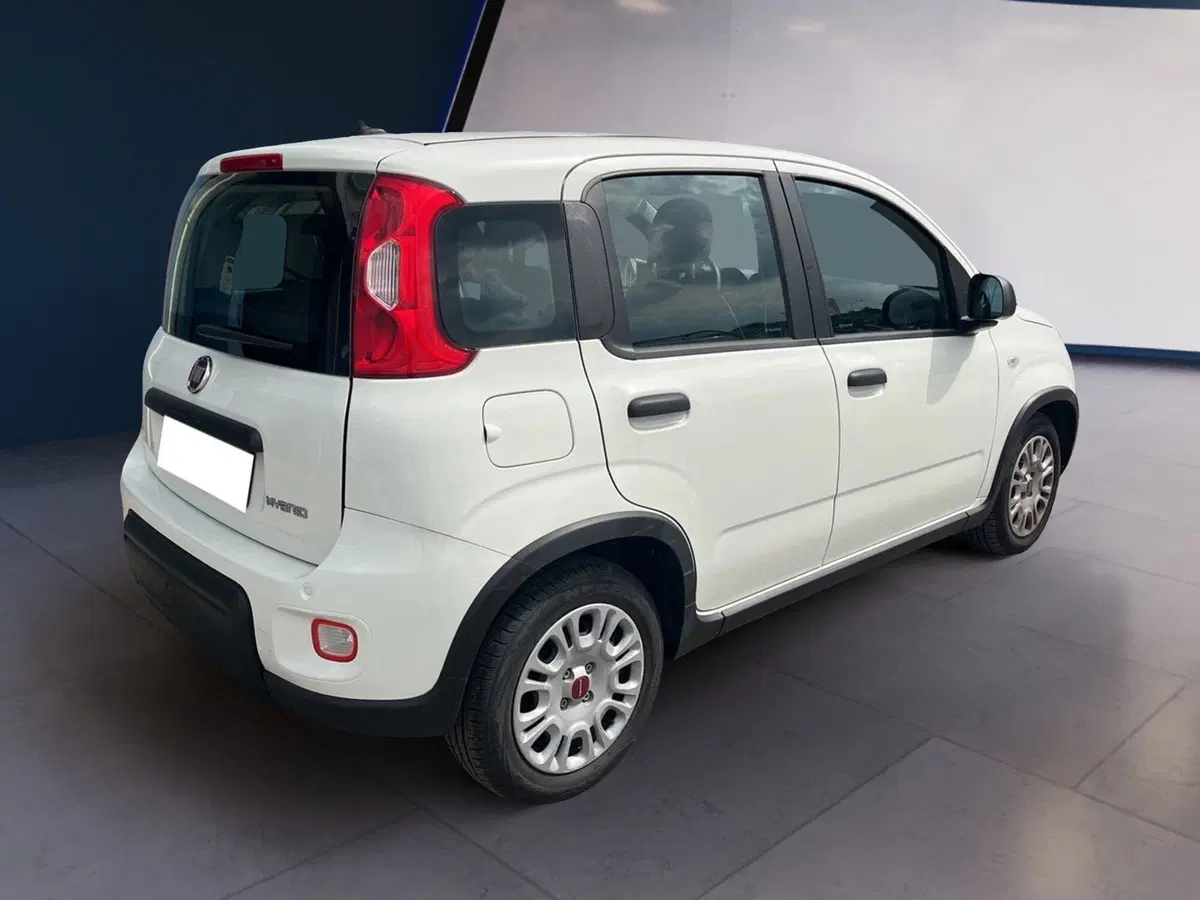 Fiat Panda usata a Torino (5)