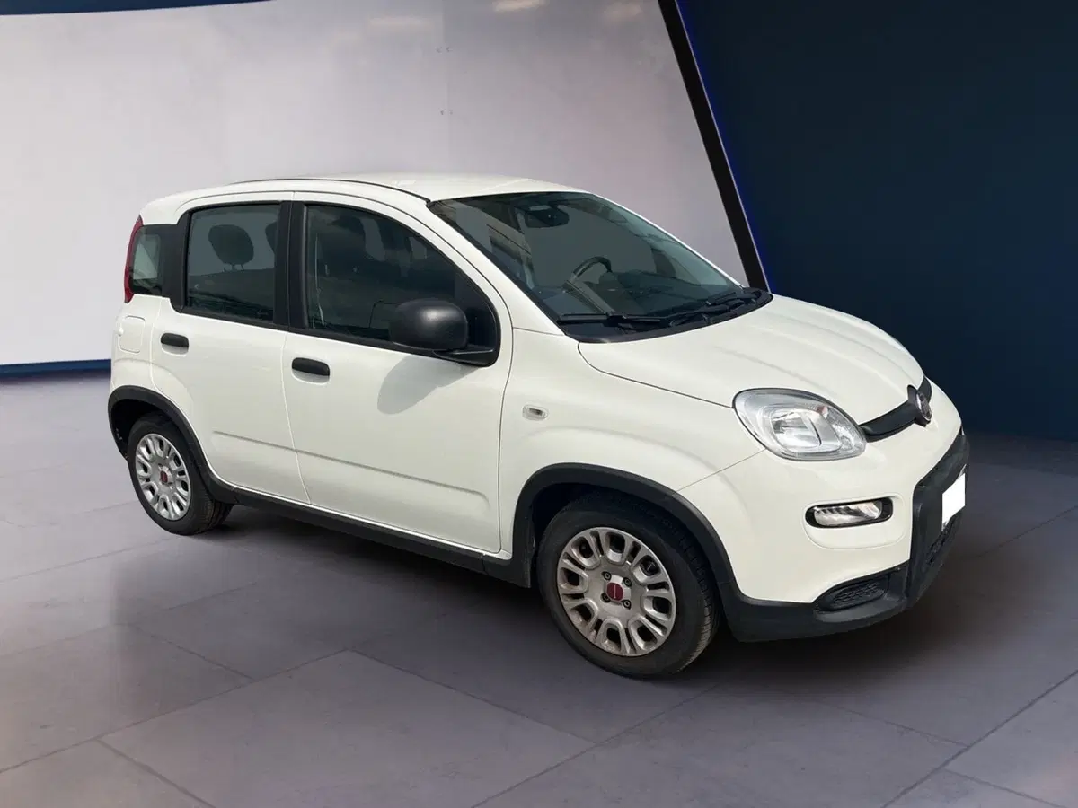 Fiat Panda usata a Torino (6)