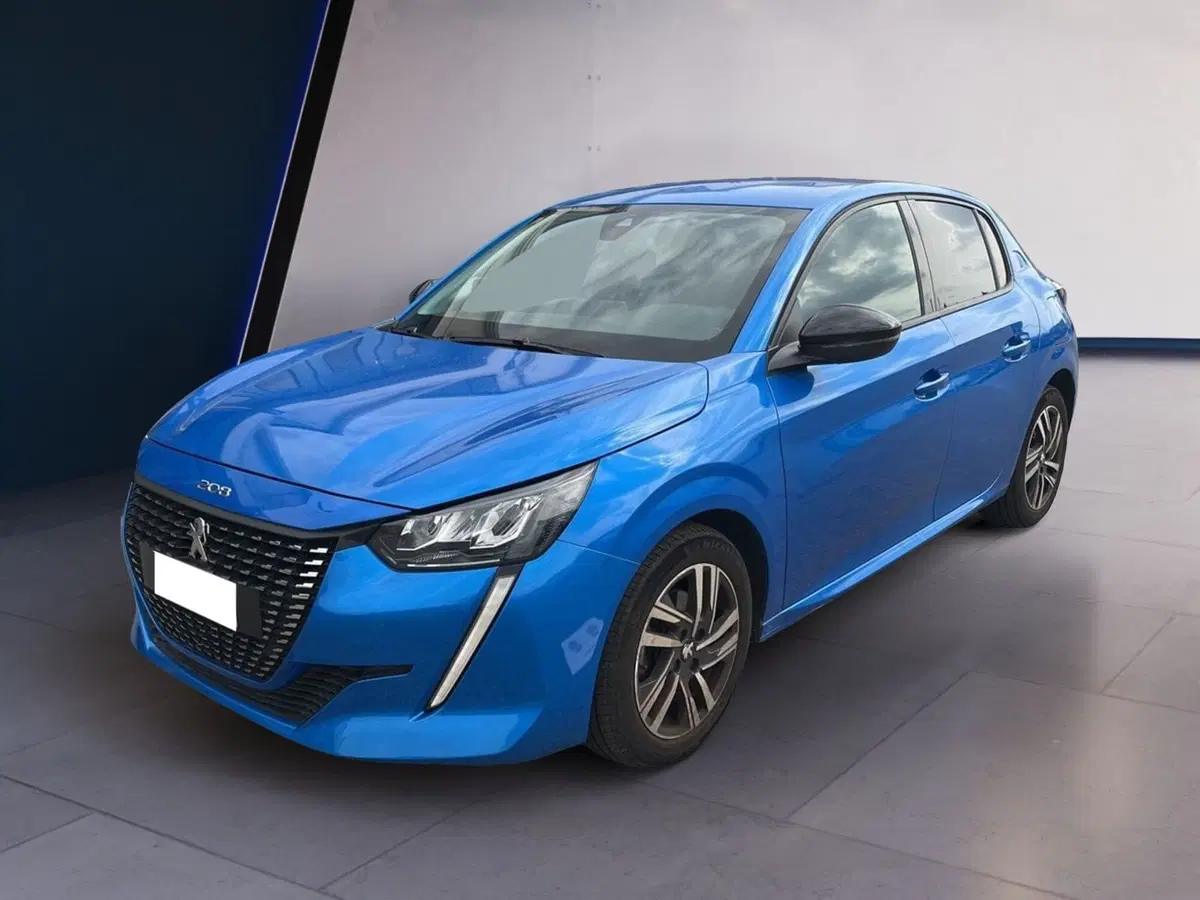 Peugeot 208 usata a Torino (2)