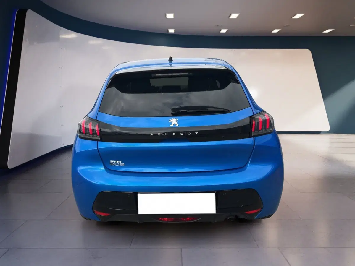 Peugeot 208 usata a Torino (5)