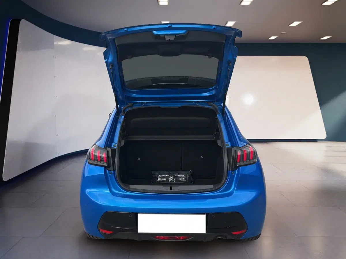 Peugeot 208 usata a Torino (7)