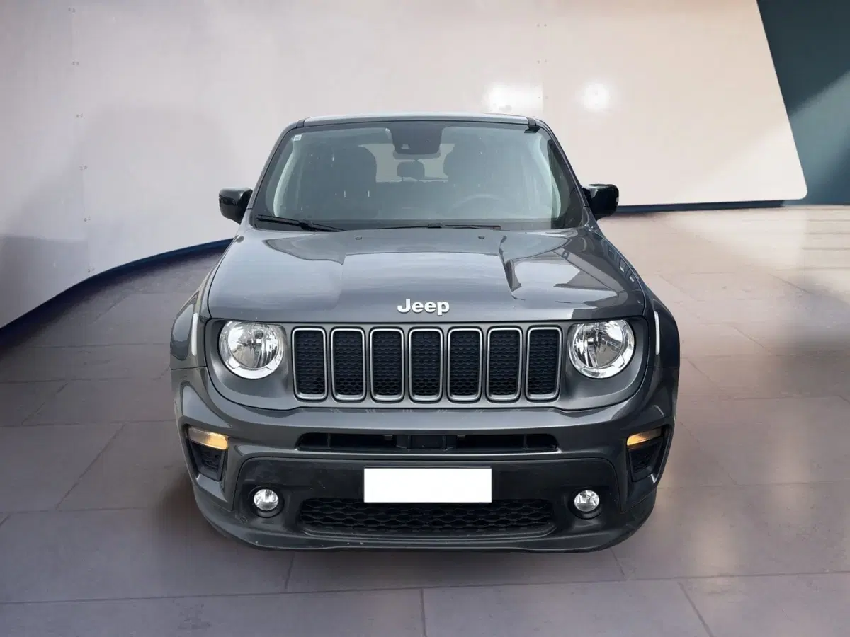 Jeep Renegade usata a Torino