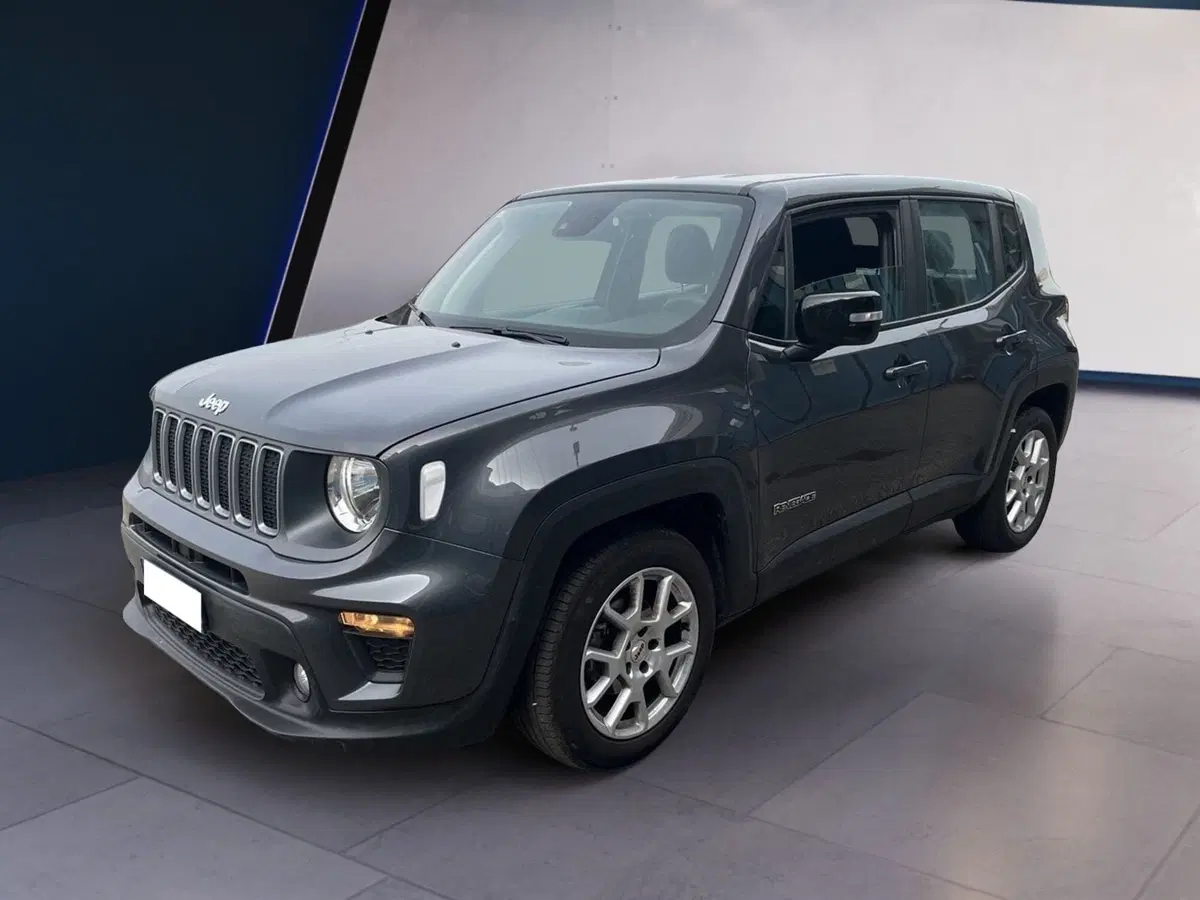 Jeep Renegade usata a Torino (2)