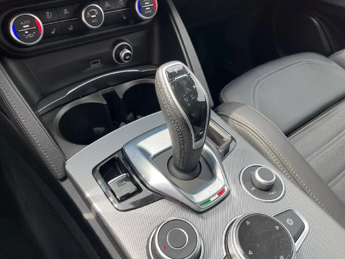 Alfa Romeo Stelvio usata a Torino (13)