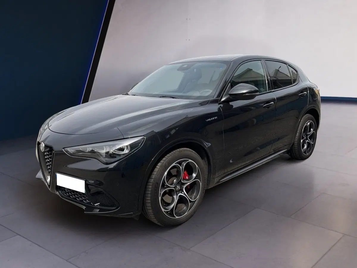 Alfa Romeo Stelvio usata a Torino (2)