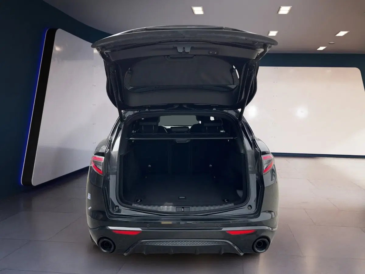 Alfa Romeo Stelvio usata a Torino (8)