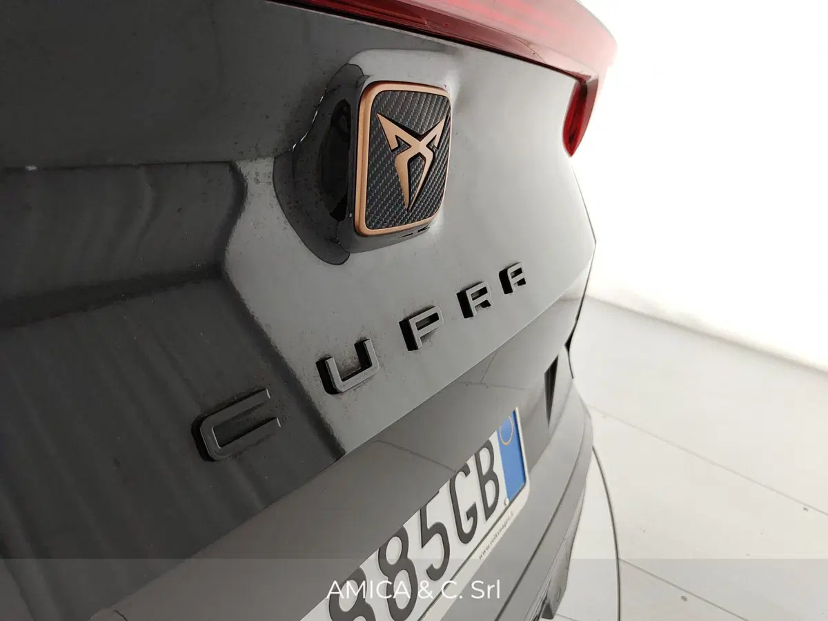 Cupra Formentor usata a Caserta (10)