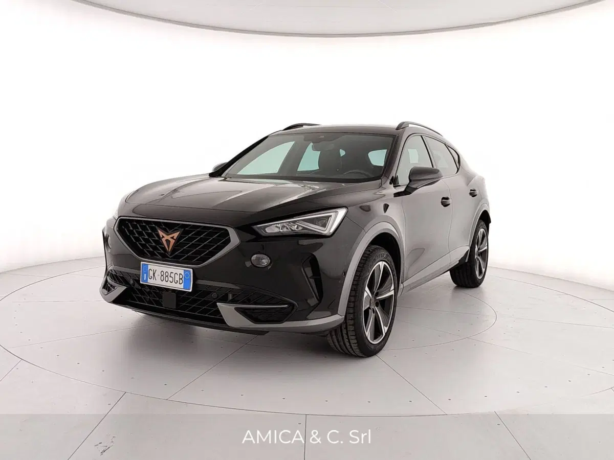 Cupra Formentor usata a Caserta (3)