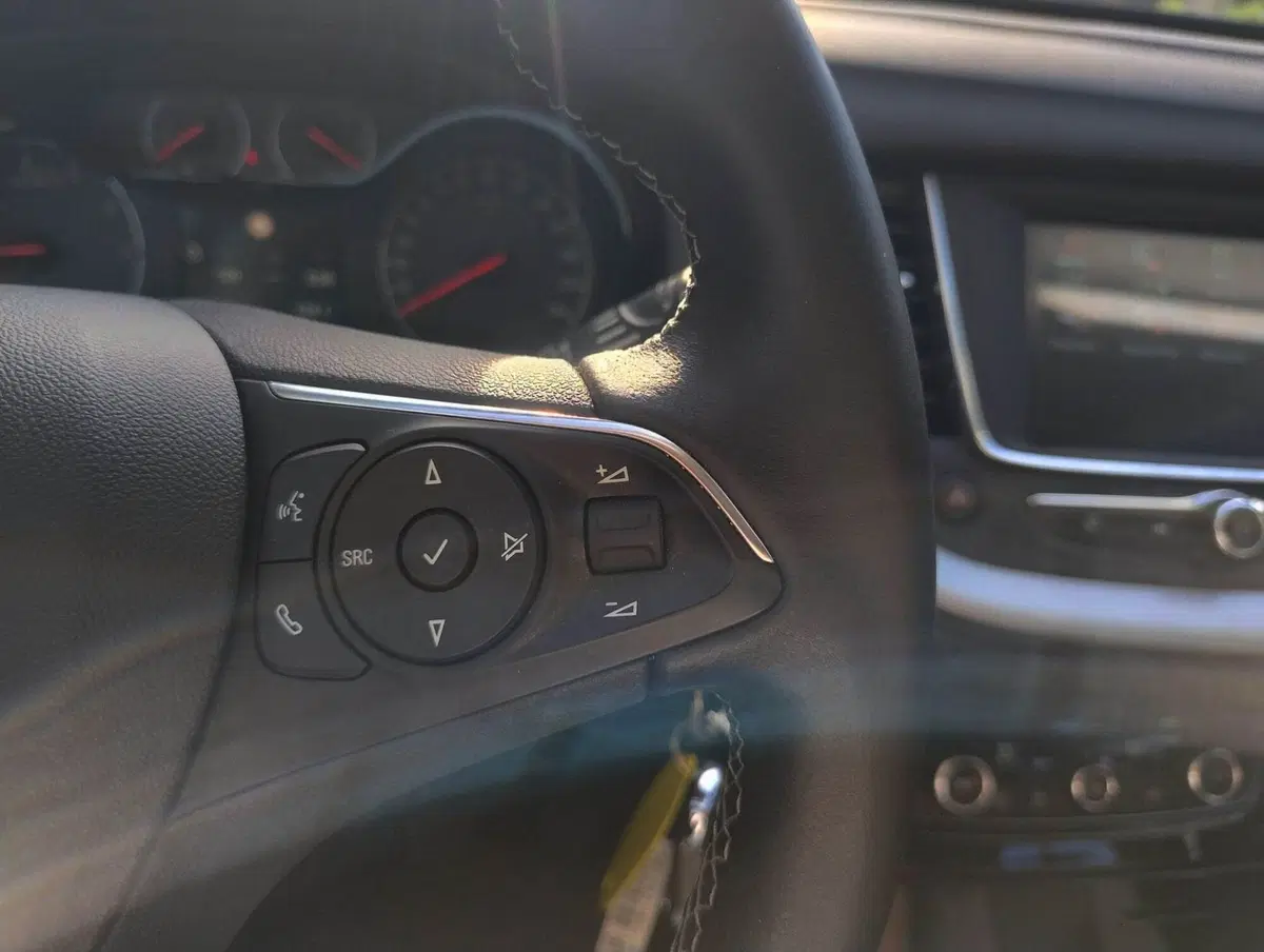 Opel Grandland X usata a Belluno (15)