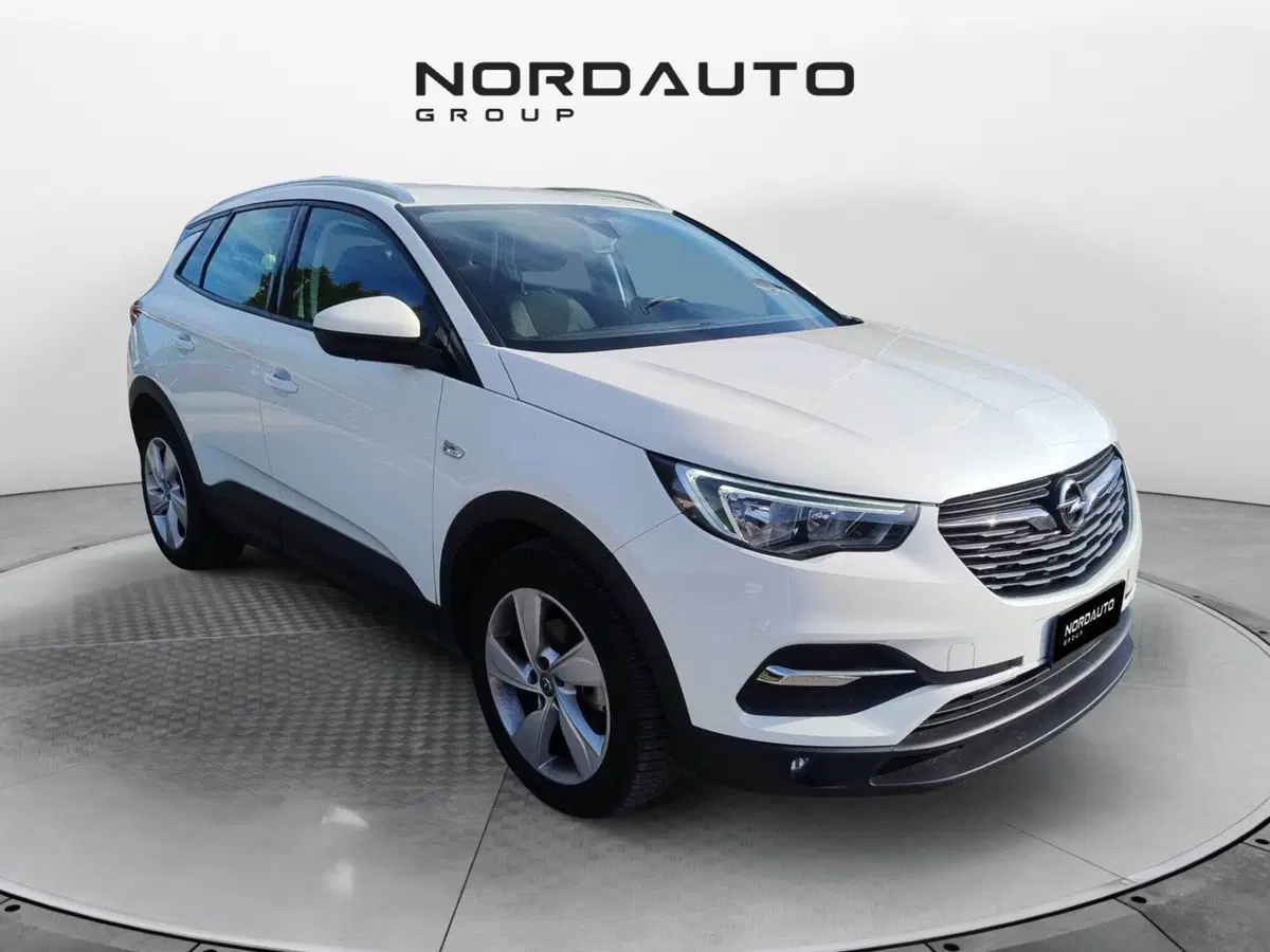 Opel Grandland X usata a Belluno (2)