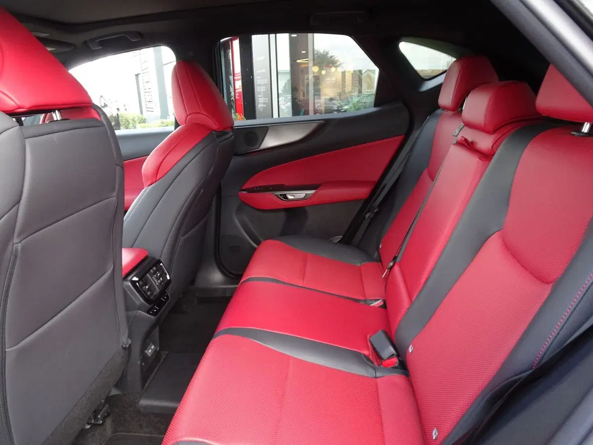 Lexus NX usata a Venezia (11)