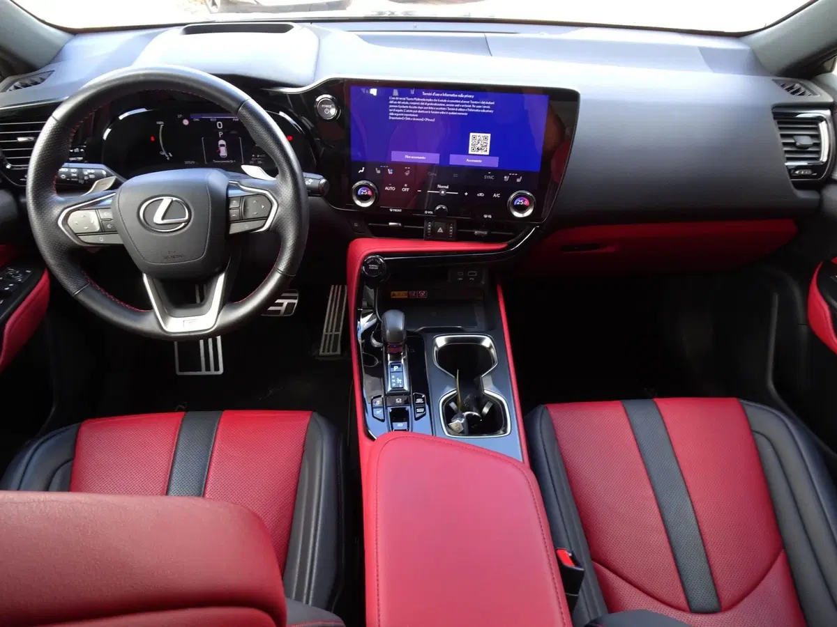 Lexus NX usata a Venezia (13)