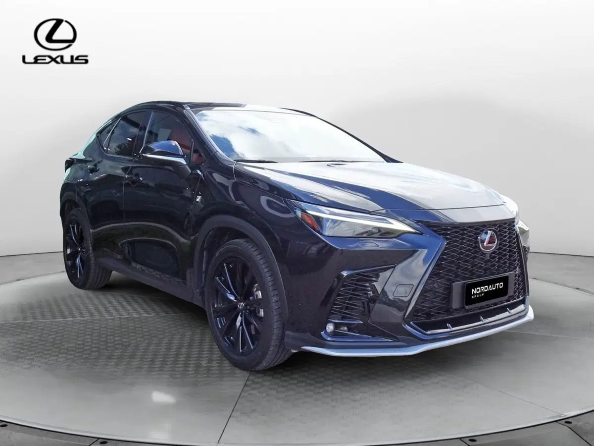 Lexus NX usata a Venezia (2)