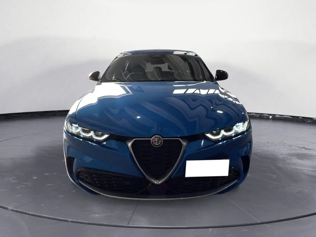Alfa Romeo Tonale usata a Agrigento