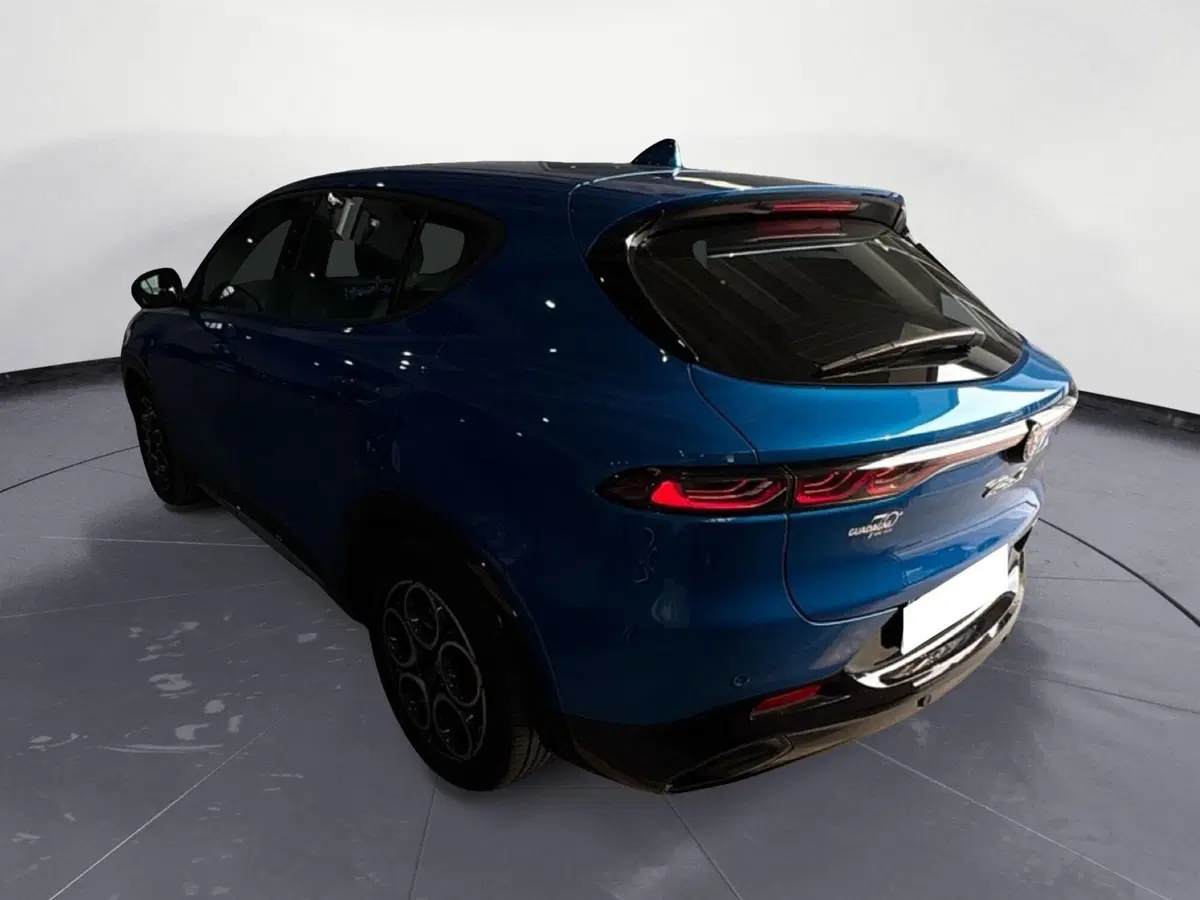 Alfa Romeo Tonale usata a Agrigento (4)
