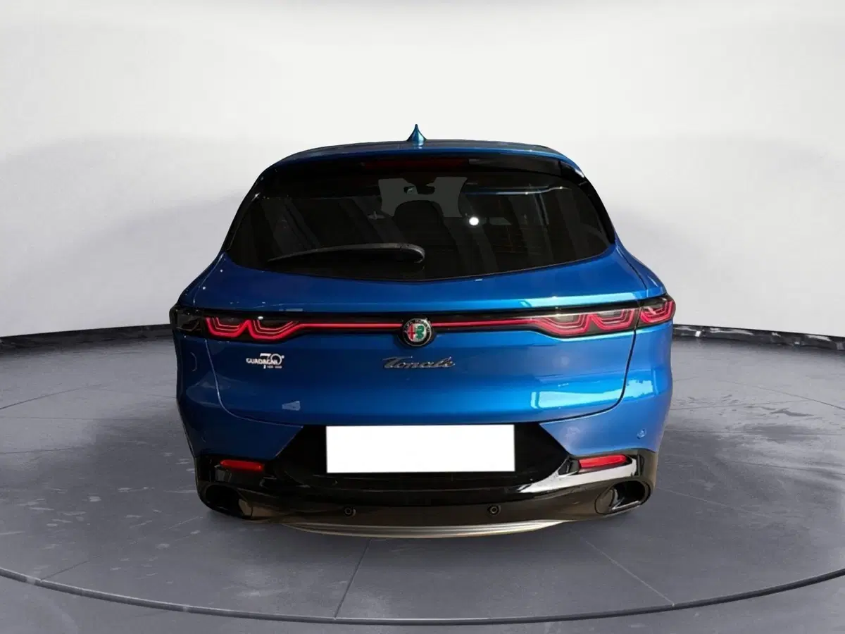 Alfa Romeo Tonale usata a Agrigento (5)