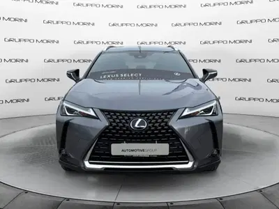Lexus UX Hybrid Business del 2022 usata a San Lazzaro di Savena