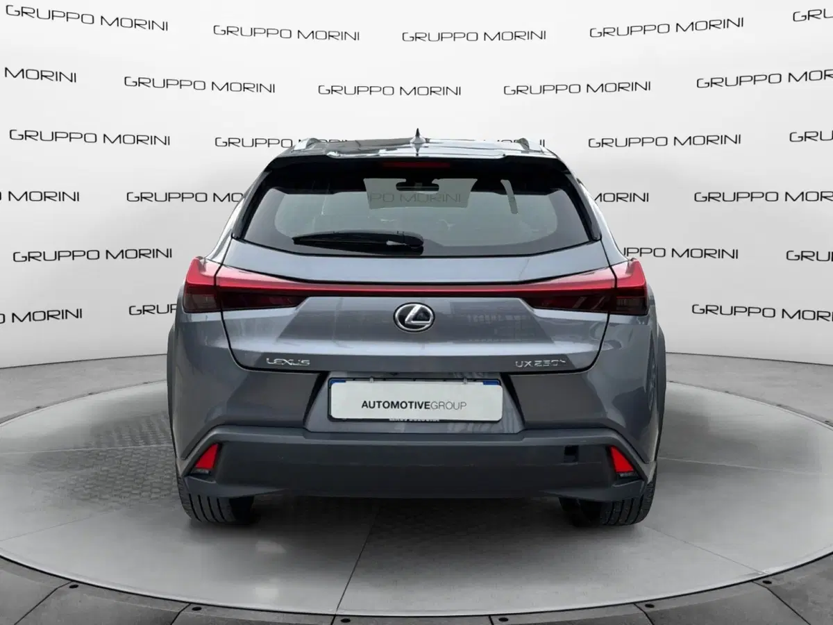 Lexus UX usata a Bologna (4)