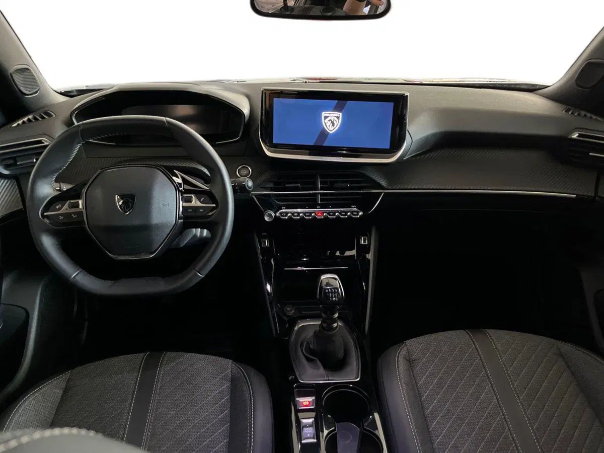 Peugeot 2008 usata a Matera (8)