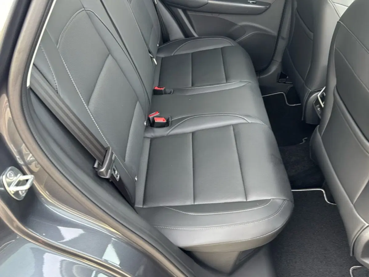 Mg ZS nuova a Ferrara (9)