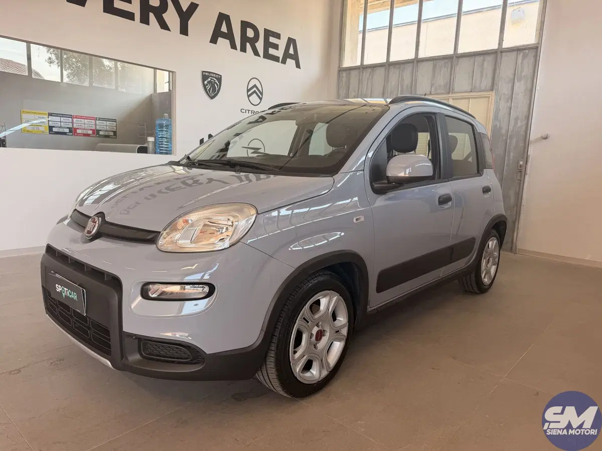 Fiat Panda usata a Siena