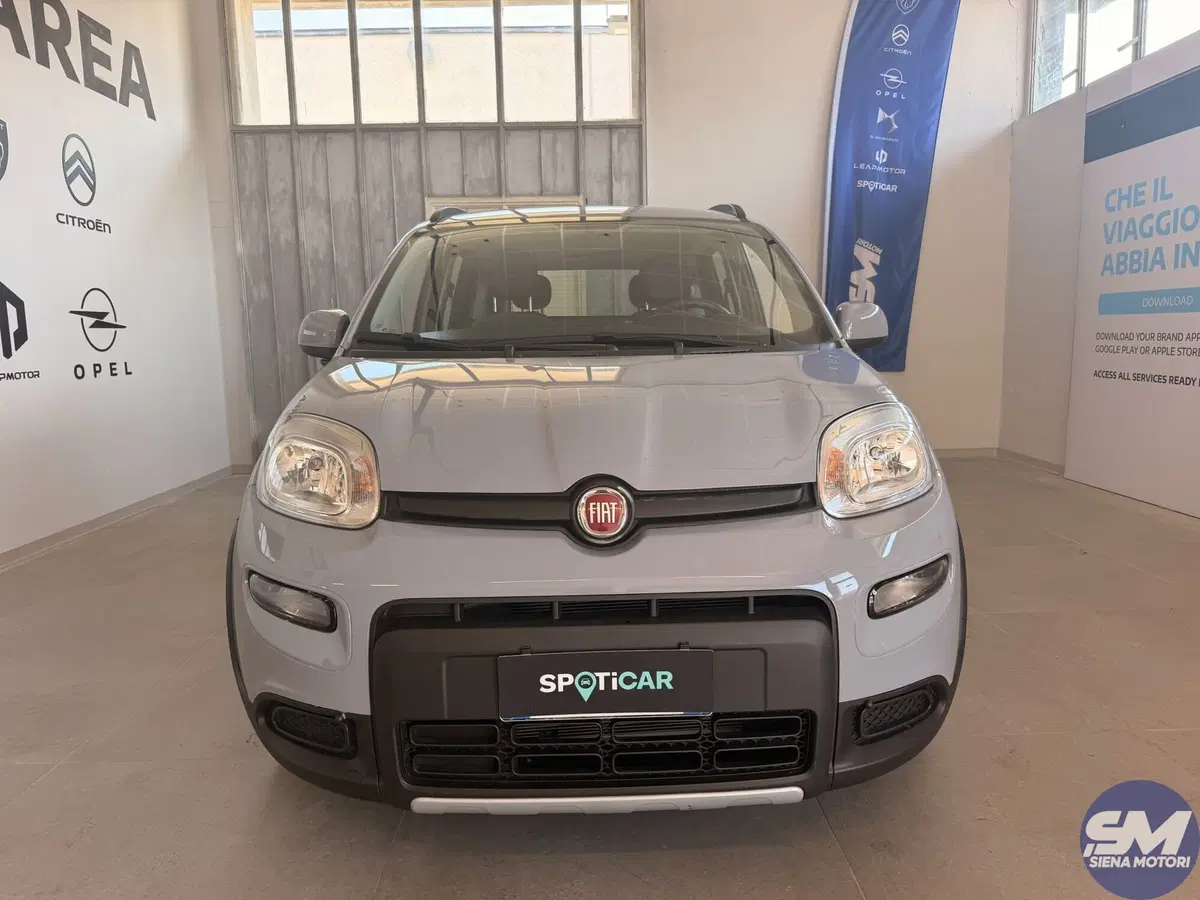 Fiat Panda usata a Siena (2)