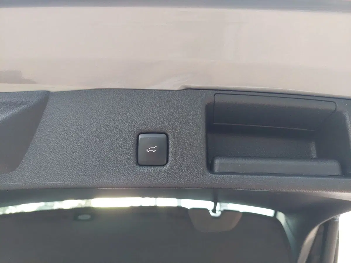 Ford Kuga usata a Treviso (15)
