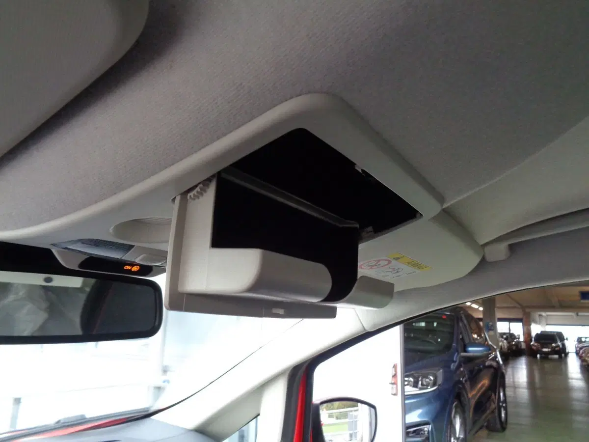 Ford EcoSport usata a Belluno (14)