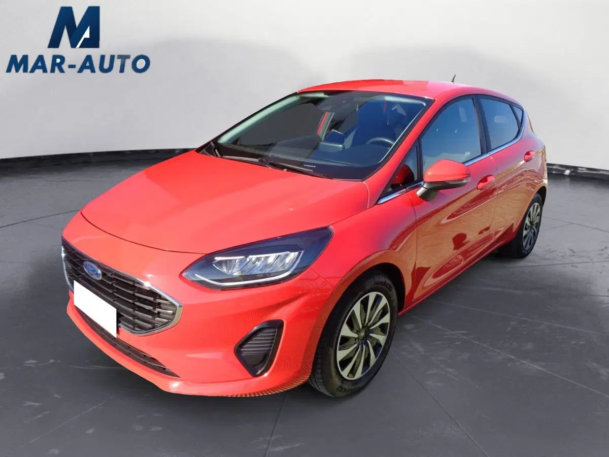 Ford Fiesta usata a Belluno