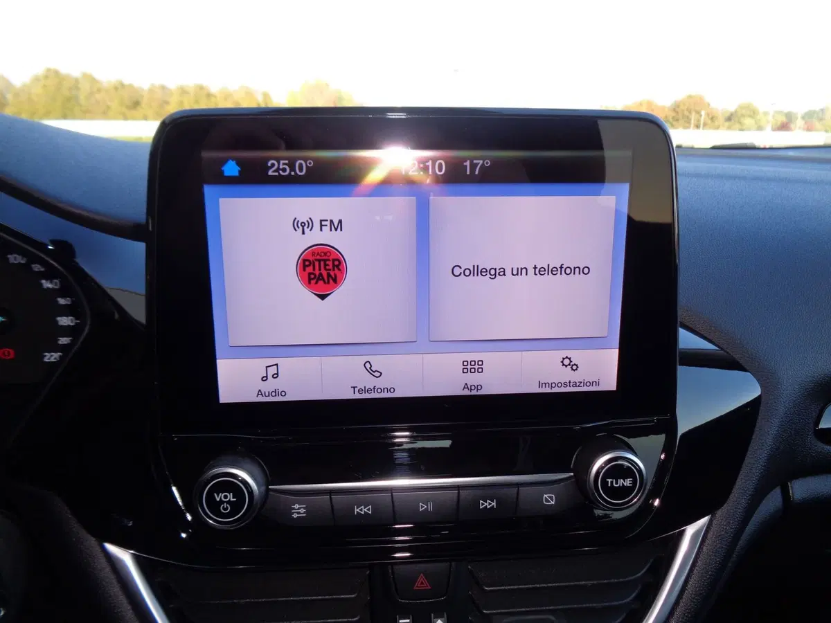 Ford Fiesta usata a Belluno (13)