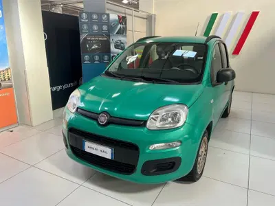 Fiat Panda 1.2 Easy del 2015 usata a Altopascio