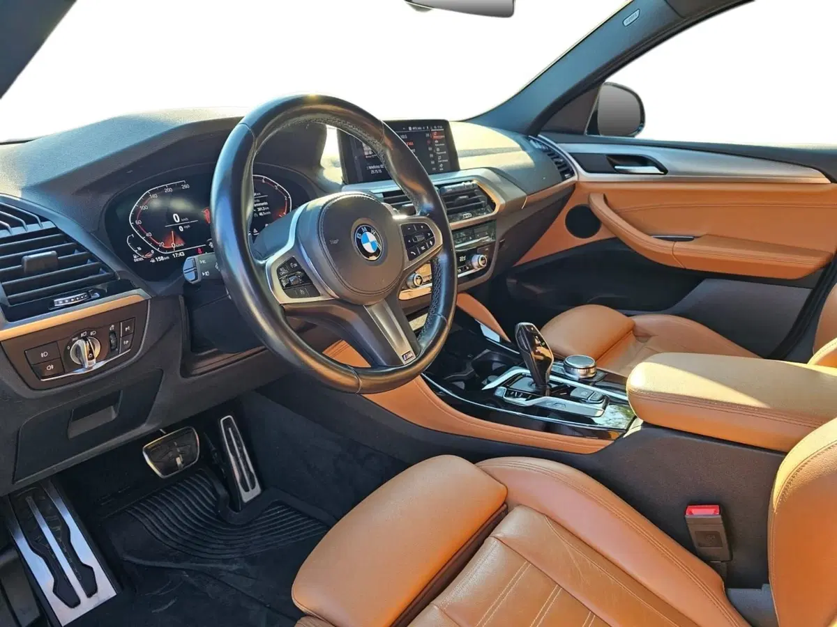 BMW X4 usata a Bari (4)