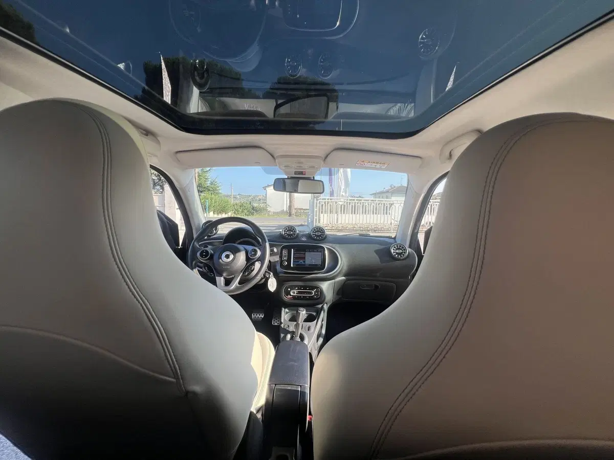 smart Fortwo usata a Teramo (16)
