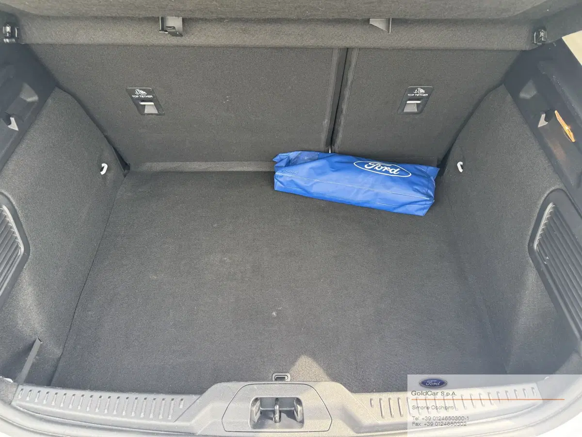 Ford Focus usata a Torino (8)