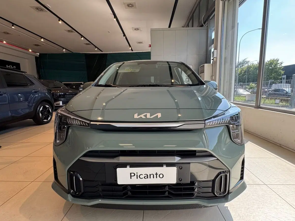 Kia Picanto nuova a Bologna (2)