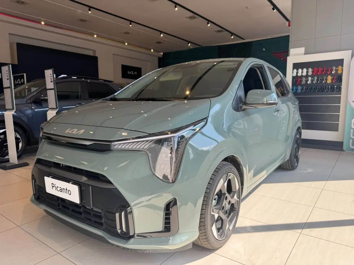 Kia Picanto nuova a Bologna (3)