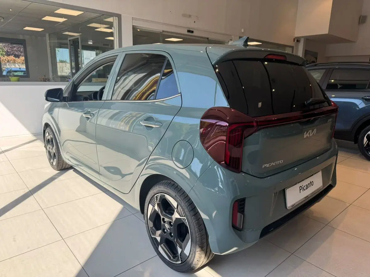 Kia Picanto nuova a Bologna (5)