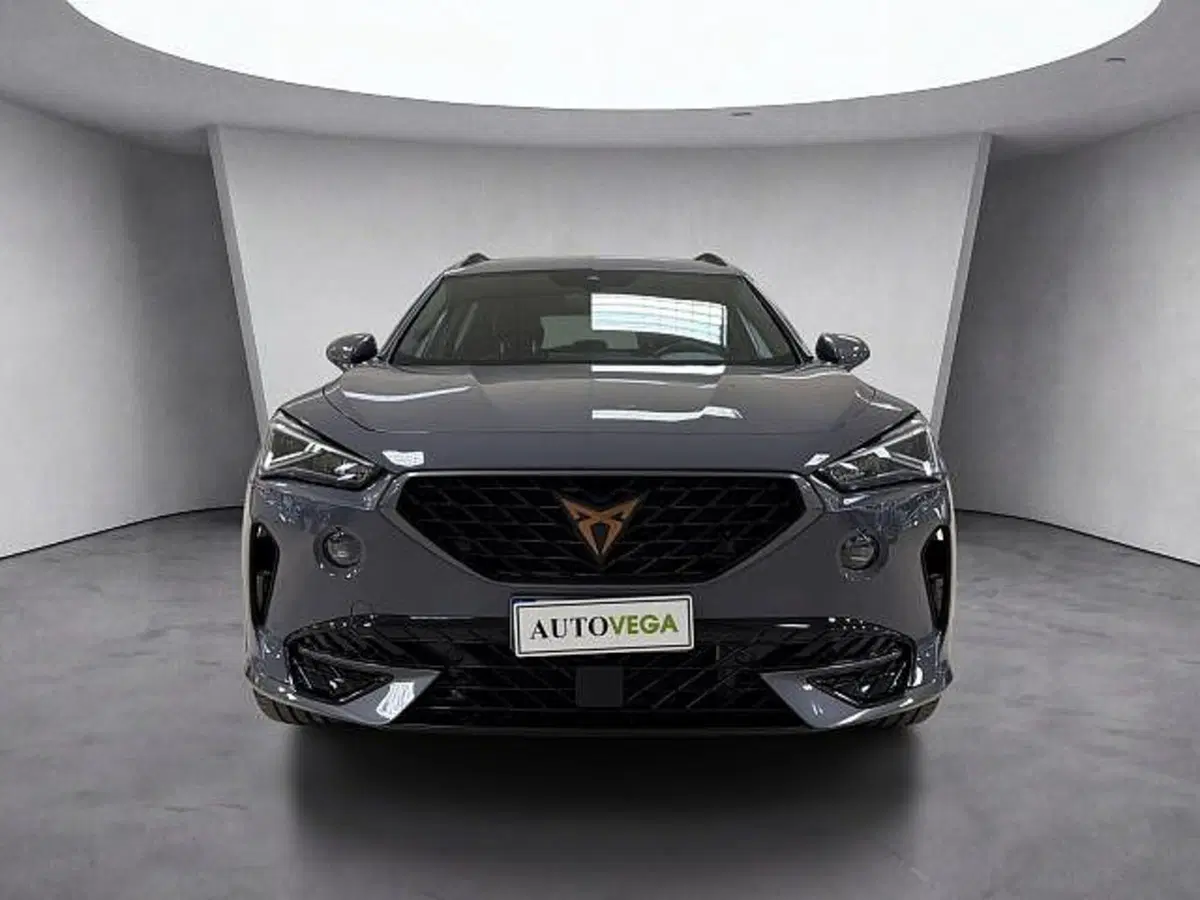 Cupra Formentor usata a Vicenza (2)