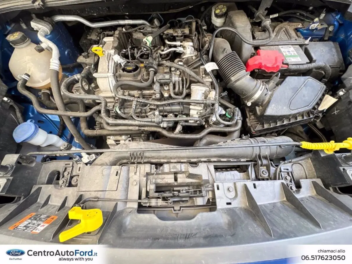 Ford Puma usata a Roma (13)