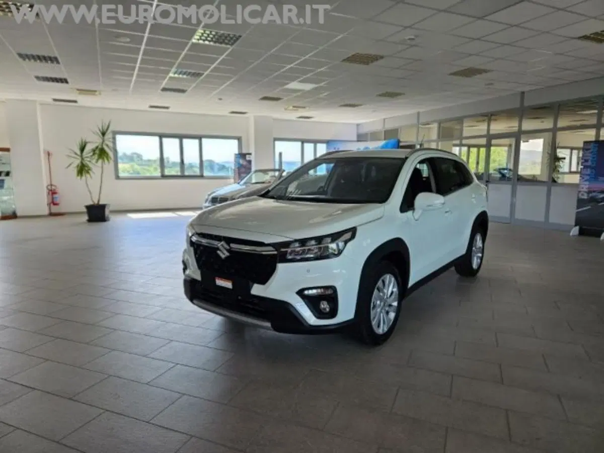 Suzuki S-Cross nuova a Campobasso (11)
