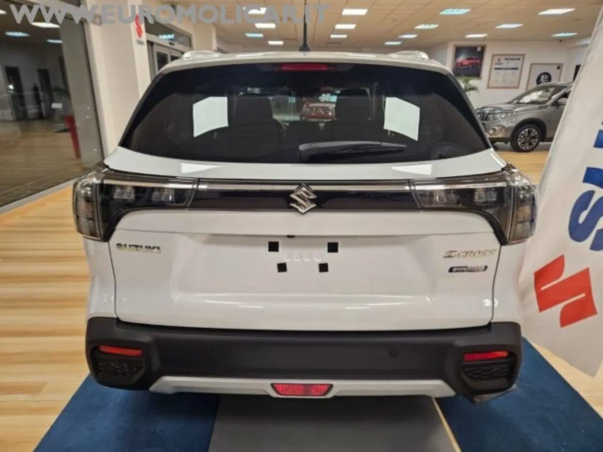 Suzuki S-Cross nuova a Campobasso (16)