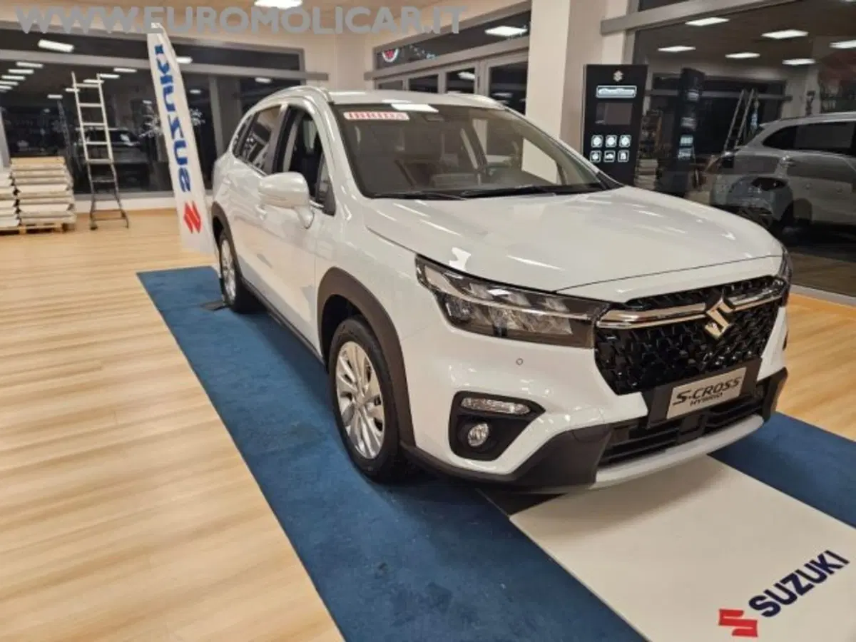 Suzuki S-Cross nuova a Campobasso (7)