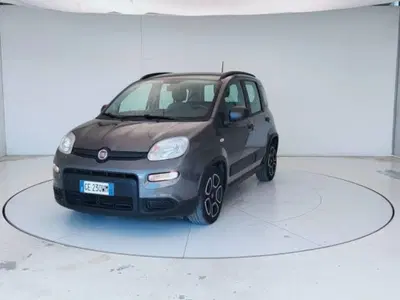 Fiat Panda 1.0 FireFly S&amp;S Hybrid City Cross del 2021 usata a Mosciano Sant'Angelo