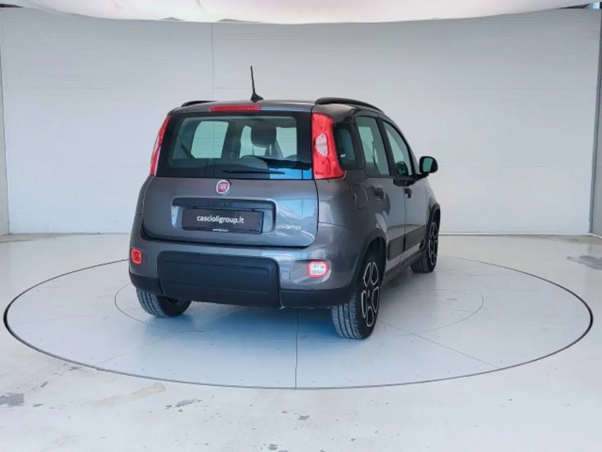 Fiat Panda usata a Teramo (5)