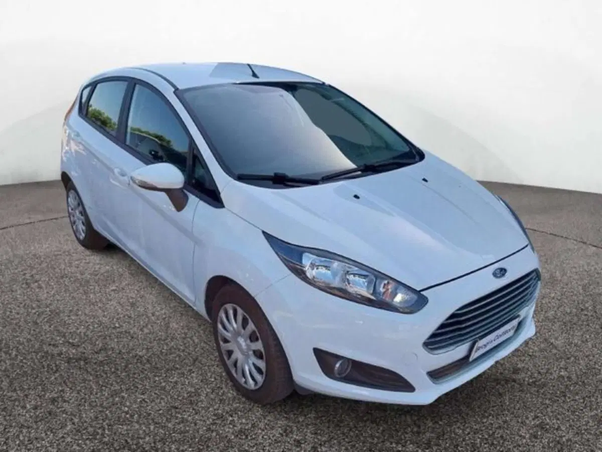 Ford Fiesta usata a Firenze