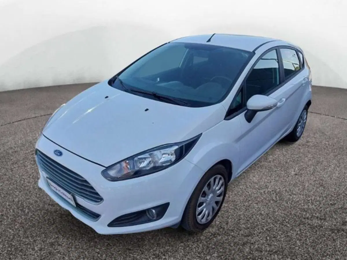 Ford Fiesta usata a Firenze (3)